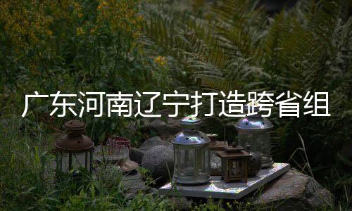 宁广东组合泽涛打造队入选辽宁有望跨省接力河南三省